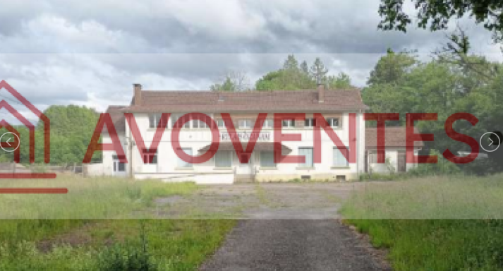 Vente aux enchères d'un bâtiment professionnel et d'un appartement